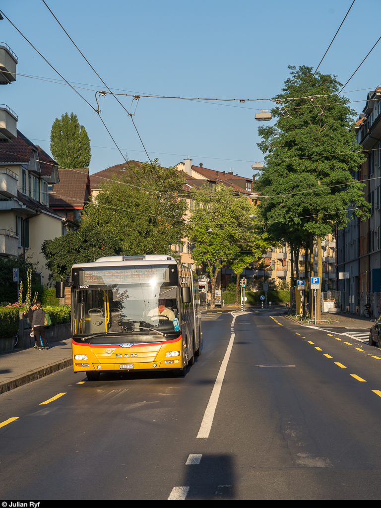 Postauto Bern MAN Lion's City in der Länggasse am 6. Juli 2019.