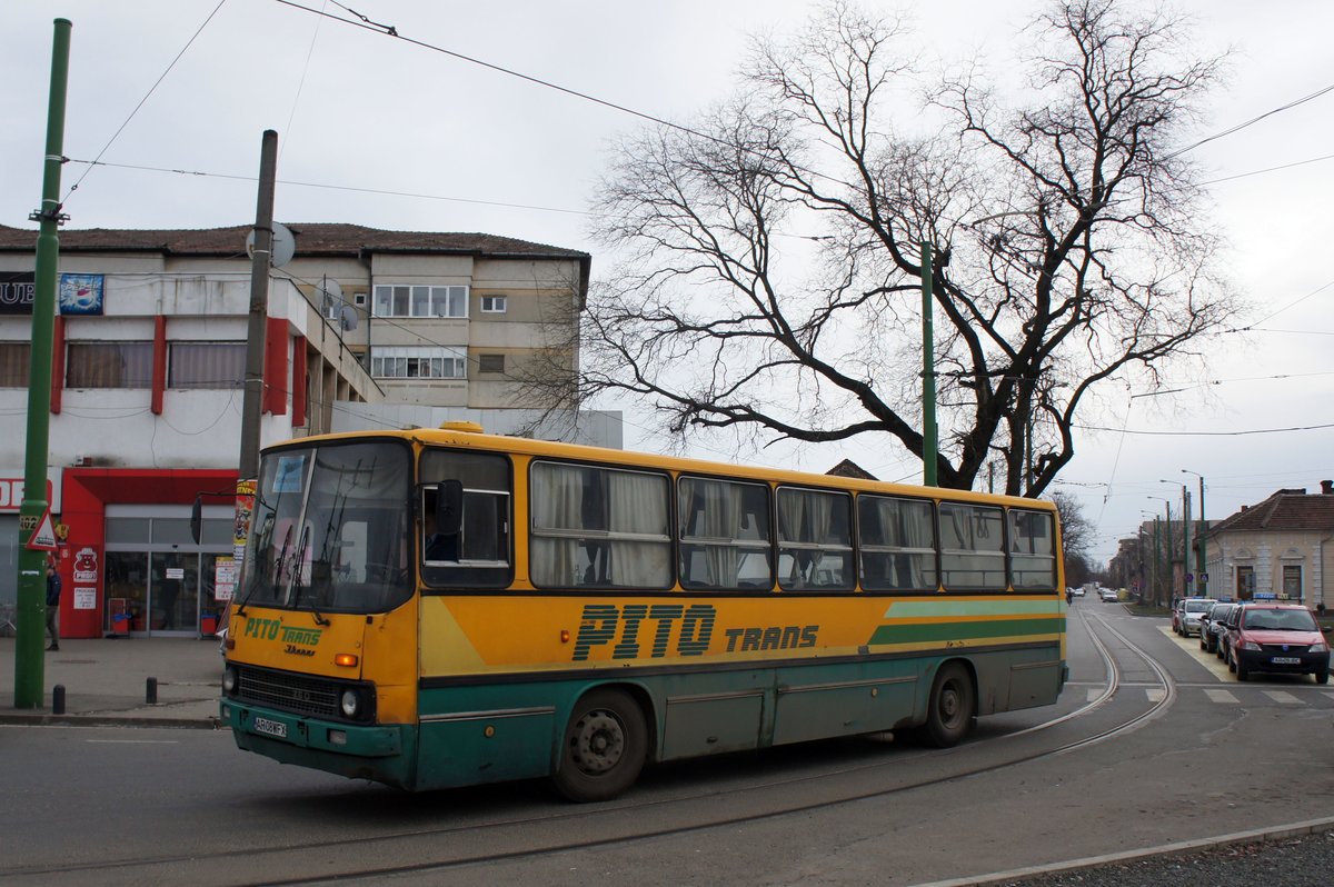 Rumänien / Bus Arad: Ikarus von PITO TRANS S.R.L. ARAD, aufgenommen im März 2017 im Stadtgebiet von Arad.