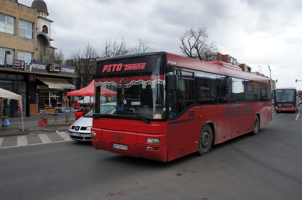 Rumänien / Bus Arad: MAN SÜ 363 von PITO TRANS S.R.L. ARAD, aufgenommen im März 2017 im Stadtgebiet von Arad.

