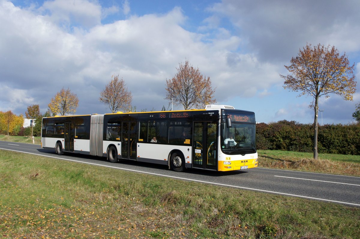 Stadtbus Mainz: MAN Lion's City G der MVG Mainz / Mainzer Verkehrsgesellschaft, aufgenommen im Oktober 2016 in Mainz-Hechtsheim.