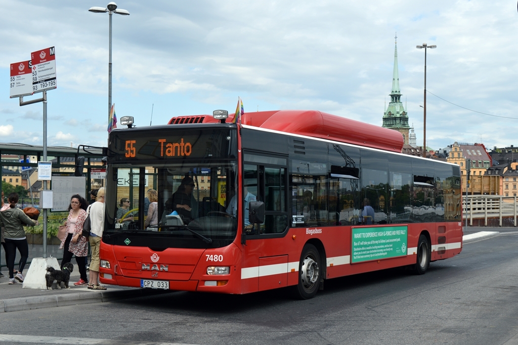 Stockholm, Stockholm Lokaltrafik (Keolis) MAN Lion´s City WN 7480 als Linie 55 bei der Haltestelle Slussen, 28. Juli 2016