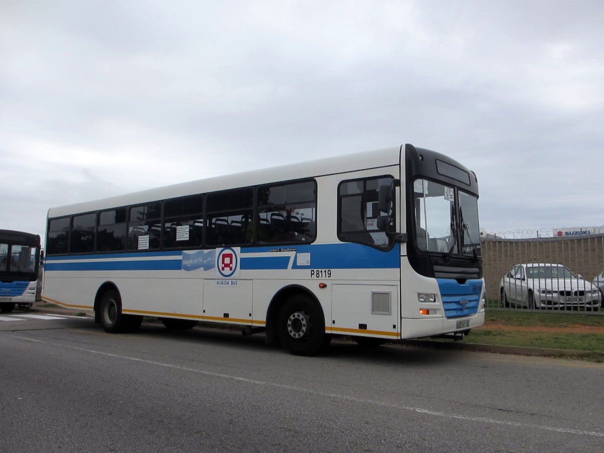 Südafrika / Port Elizabeth: MAN Lion´s Explorer (mit runden Fenstereinfassungen) des Unternehmens  Algoa Bus Company , aufgenommen im April 2015 in Port Elizabeth.
