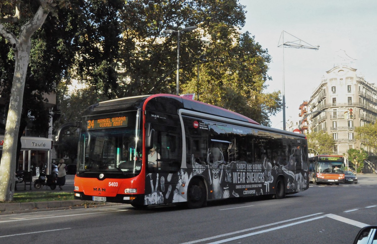 TMB, Barcelona. MAN Lion's City Hybrid (Nr.5403) in Plaça Mossèn Jacint Verdaguer. (23.10.2014)