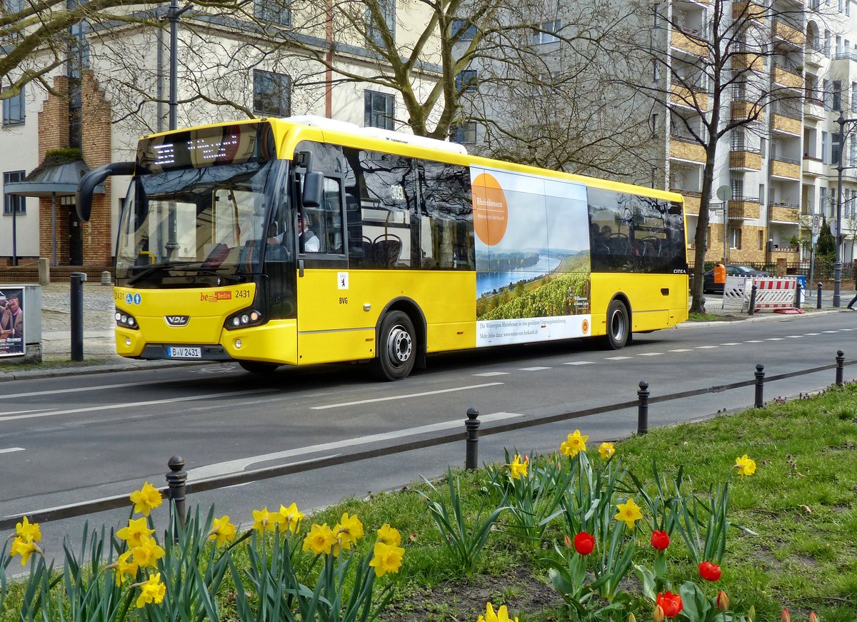 VDL Citea '2431' der BVG auf der Linie 309. Berlin im April 2016.
