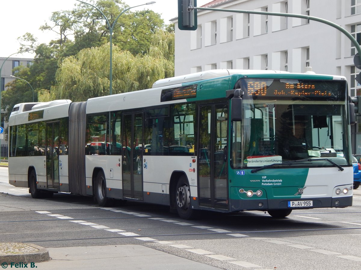 Volvo 7700 vom Verkehrsbetrieb Potsdam in Potsdam am 24.08.2015