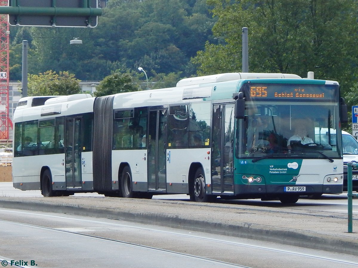 Volvo 7700 vom Verkehrsbetrieb Potsdam in Potsdam am 24.08.2015