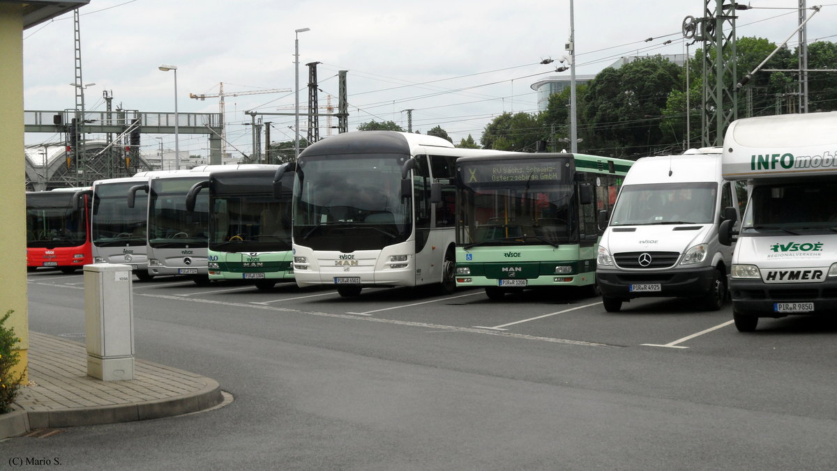 Von rechts nach links: Mercedes-Benz Sprinter Transfer 34, MAN NM223, MAN ÜL364 Lion`s Regio, MAN NÜ323 Lion`s City Ü und 2 Mercedes-Benz O530 II am 20.06.2020 in Dresden.
