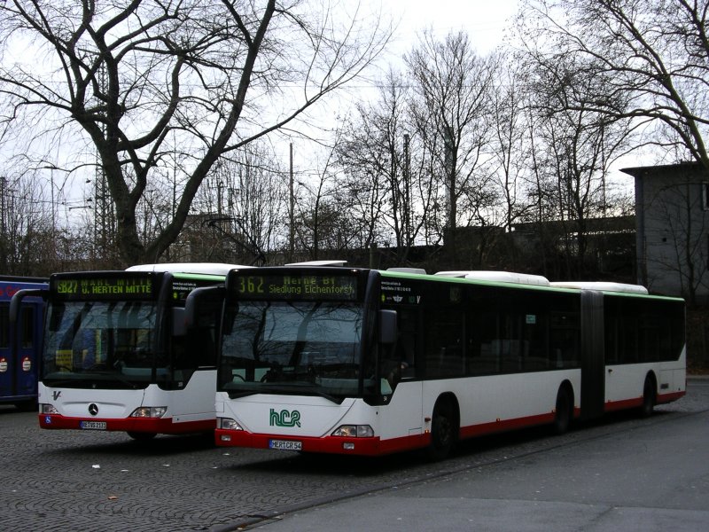 1x MB Citaro der Vestischen als Linie SB27 nach Herne Mitte,rechts MB Citaro Gelenkbus,Linie 362 ,hcr,nach Herne Bf. Siedlung Eichenforst ,in Wanne Eickel Hbf/Bbf. in Pausenstellung.
(14.01.2008) 