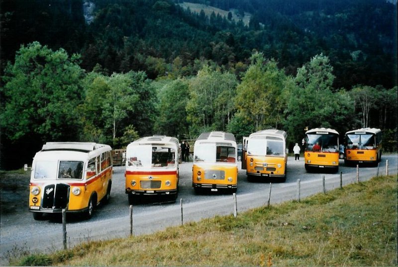 Alle 6 Saurer, die an der Postautofahrt Griesalp-Bundalp teilnahmen, am 27. September 2008 Kiental, Tschingelsee