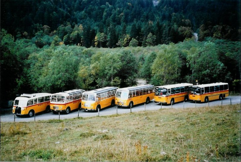 Alle 6 Saurer, die an der Postautofahrt Griesalp-Bundalp teilnahmen, am 27. September 2008 Kiental, Tschingelsee