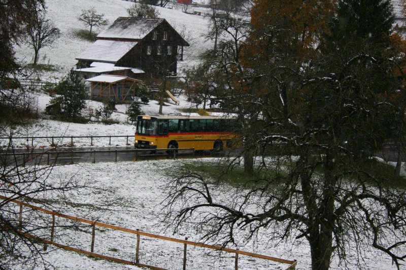 Bild aus Postauto-Zeiten am Werdenberg: PU Tinner, Sennwald, SG 50'513 (NAW/Hess BH4-515-24, 1992) zwischen Frmsen und Sax am 17.11.2007. 