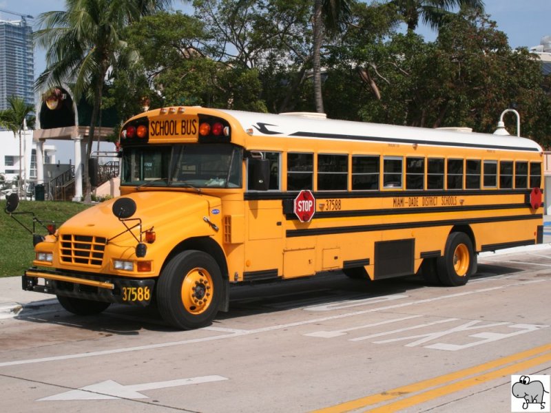 Bluebird Vision der  Miami-Dade Destrict Schools . Aufgenommen am 3. Oktober 2008 in Miami, Florida.