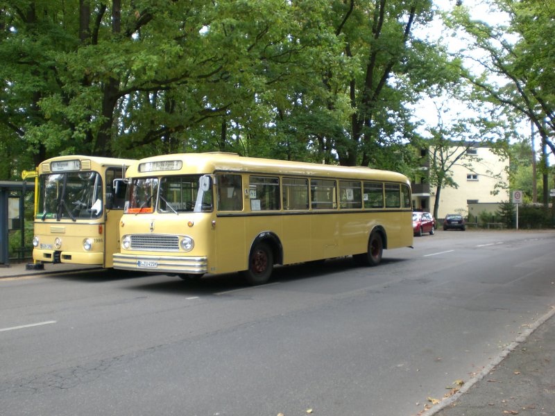 Ein Bssig-Eindecker und ein Mercedes-Eindecker auf dem Dorffest in Heiligensee. Diese Historischen Busse fuhren auf der heutigen Linie 324 als Sonderfahrt zwischen Alt-Heiligensee und Falkenplatz.
