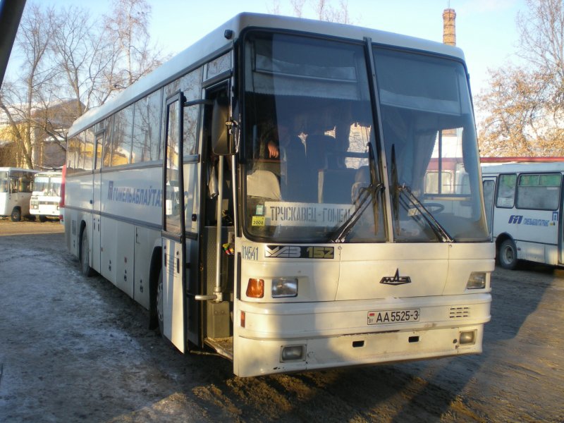 Ein Reisebus des weirussischen Herstellers MAZ, kurz nach der Ankunft am Busbahnhof in Gomel. 06.01.2009
