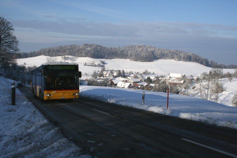 Erst wenige Tage alt war am 17.11.2007 der ZH 21'005 von PU Steiger, Schlatt - Einer der ersten Citaro II von PostAuto Schweiz. Das Bild zeigt den Wagen auf Bergfahrt von Oberschlatt ins Gyrenbad. 