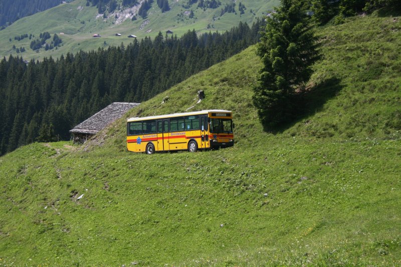 GrindelwaldBus Nr 11 (BE 261'865, Vetter 10SH, 1992) am 30.6.2007 zwischen dem unteren und dem oberen Lauchbhl auf einer Dienstfahrt zur Grossen Scheidegg. 