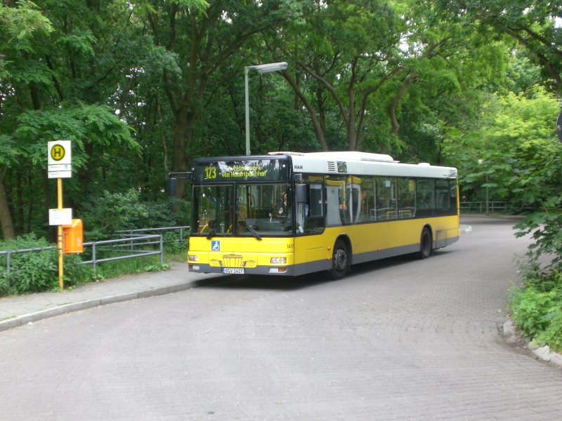 MAN Niederflurbus 2. Generation auf der Linie 123 nach Mitte Invalidenpark an der Haltestelle Saatwinkler Damm Mckeritzwiesen.
