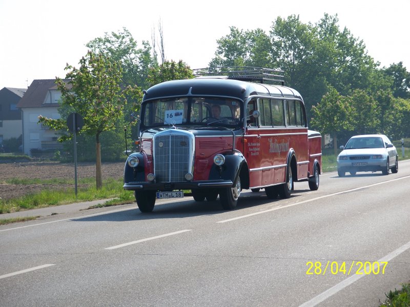 Mercedes Oldtimerbus kurz nach Neuluheim. . Der Bus nahm an der Ausfahrt des Busoldtimertreffs von Sinsheim nach Speyer und anschlieend wieder nach Sinsheim teil. Organisiert wurde das treffen von den Technik Museen Sinsheim und Speyer.