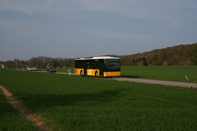 PostAuto Ostschweiz, Regie Frauenfeld, Nr. 15 (TG 158'215, Mercedes-Benz Citaro Facelift , 2007) zwischen Steckborn und Hrhausen am 15.4.2009. 