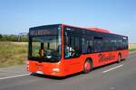 Bus Sachsen: MAN Lion's City  (GC-WI 666) vom Winkler Fuhrunternehmen, aufgenommen im August 2023 in Lichtenau, einer Gemeinde im Landkreis Mittelsachsen.