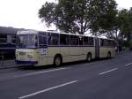 Ein historischer MAN Gelenkbus am 08.09.13 in Frankfurt am Main zum Tag der Verkehrsgeschichte 