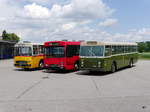 Bustag 2017 in Burgdorf - ex SVB ( Bern Mobil ) FBW Nr.157 unterwegs auf Fotoextrafahrt in Lyssach am 25.06.2017