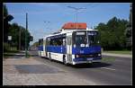 Aus Cottbus kam als Gast dieser Ikarus 280 zum Tag der offenen Tr der Barnimer Busgesellschaft (CB CV 131, gesehen Eberswalde 21.08.2010)