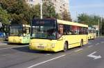 Rumnien / Ploiesti: MAN SL 223- Busse mit den Nummern 3037 und 3068 am Sdbahnhof.
