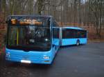 Bus 190,257kw,MAN Schubgelenkbus,Niederflur,Lions City