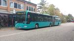 Hier ist der SÜW ZQ 94 von Striebig Deutschland auf der Buslinie 540 nach Landau HBF unterwegs. Gesichtet am 29.10.2018 am Schulzetrum in Bad Bergzabern.