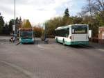 Bustreffen des Stadtverkehrs Maintal in Drnigheim am 30.10.10