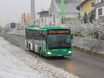 Graz. Am 25.11.2020 grüßte die Frau Holle die Steirische Landeshauptstadt. Mit dem 1. Schnee dieser Saison konnte ich Wagen 86 der Graz Linien als Linie 65 kurz nach dem IKEA ablichten.