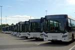 Parkplatz mit vielen Scania Citywide  Viabus , Ludwigshafen (BASF) Juli 2020