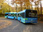 Bus 169 Solaris,Wendeschleife Rasenallee 