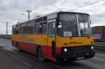 Rumänien / Bus Arad: Ikarus von PITO TRANS S.R.L. ARAD, aufgenommen im Januar 2012 im Stadtgebiet von Arad.