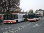 MAN Gelenkbus und Neoplan der DSW21,in Hrde Bhf.(27.10.2007)