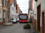DB Rhein Neckar Bus meets Tannenbaum am 10.01.15 in Heidelberg auf der 732 