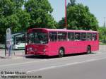 Da geht einem das Herz auf: Ein MB O 307 in Himbeerrot, die frhere Farbe der Bahn - und Regionalbusse.