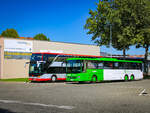 Graz. An diesem heißen 14.08.2023 steht der Intercitybus 14751 gemeinsam mit Postbus Intouro 16431 in der Verkehrsstelle Graz-Hohenstaufengasse.
