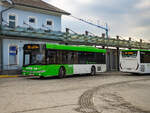 Gleisdorf. Mittlerweile ein Unikat, ist dieser Solaris Urbino der Firma Steiermarkbahn. Am 12.01.2024, steht der Bus als Linie 202 vor dem Bahnhof Gleisdorf.