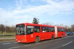 Serbien / Stadtbus Belgrad / City Bus Beograd: Ikarbus IK-201 - Wagen 1029 der GSP Belgrad, aufgenommen im Januar 2016 in der Nähe der Haltestelle  Bulevar Nikole Tesle  in Belgrad.