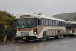 Blue Bird Autobus 180 474 unterwegs im Denali Nationalpark.