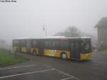 Postauto/Regie Yverdon VD 495 031 (MAN A23 Lion's City GL) am 15.11.2012 beim Bhf. Arnex im dichten Nebel.
