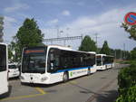 vbg/Eurobus Nr. 48 (Mercedes Citaro C2 O530) am 14.6.2019 beim Bhf. Regensdorf-Watt