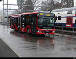 Zimmerberg Bus - MAN Lion`s City Hybrid  Nr.665 ZH 534957 in Horgen am 12.03.2023