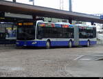 VZO - Mercedes Citaro Nr.102  ZH 745102 unterwegs auf der Linie 862 vor dem Bhf. Wetzikon an dem Bushaltestellen 11.11.2023