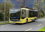 STI - Mercedes Citaro Nr.185 in Interlaken als Bahnersatz für die BOB auf den Linien Interlaken - Grindelwald / Interlaken - Lauterbrunnen am 22.04.2023
