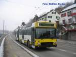 NAW- Trolleybus der Schaffhauser Verkehrsbetriebe oberhalb dem Gterbahnhof am 10.Januar 09