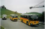 Postauto Postautotreffen im Teuffenthal: Burri, Teuffenthal Saurer/R&J und FBW/R&J und NAW/R&J am 31. Oktober 2004 in Buchen