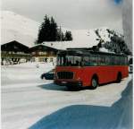 Berner Oberland Aus dem Archiv: AFA Adelboden 14/BE 43'089 FBW/Gangloff Jahrgang 1964 im M�rz 1988 Adelboden, Geils